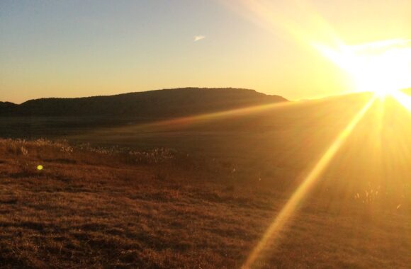 此処の在り方が、居心地が良いから。